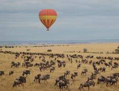 Baloon Safaris in tanzania